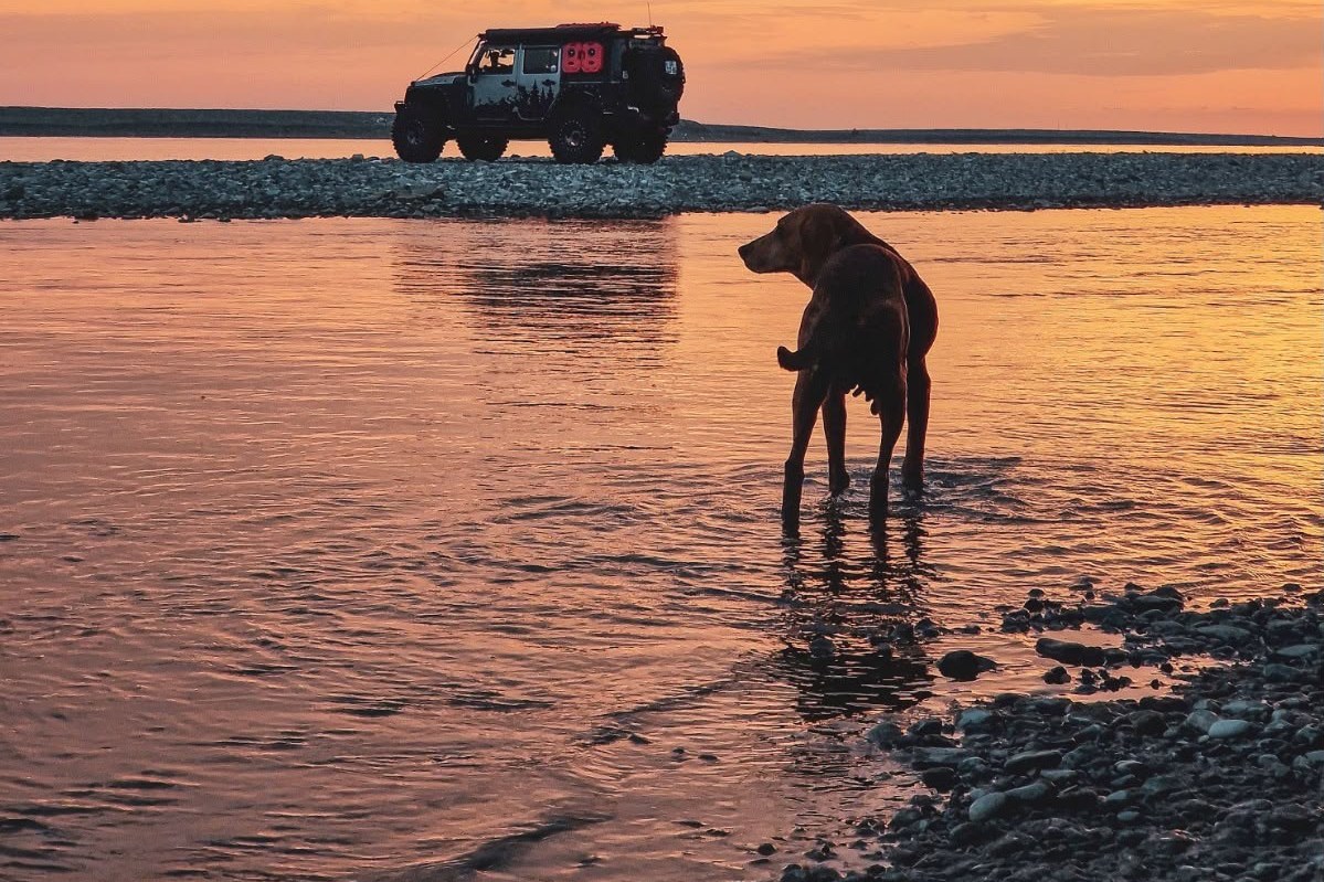 Dog at sunset on the Wild Coast