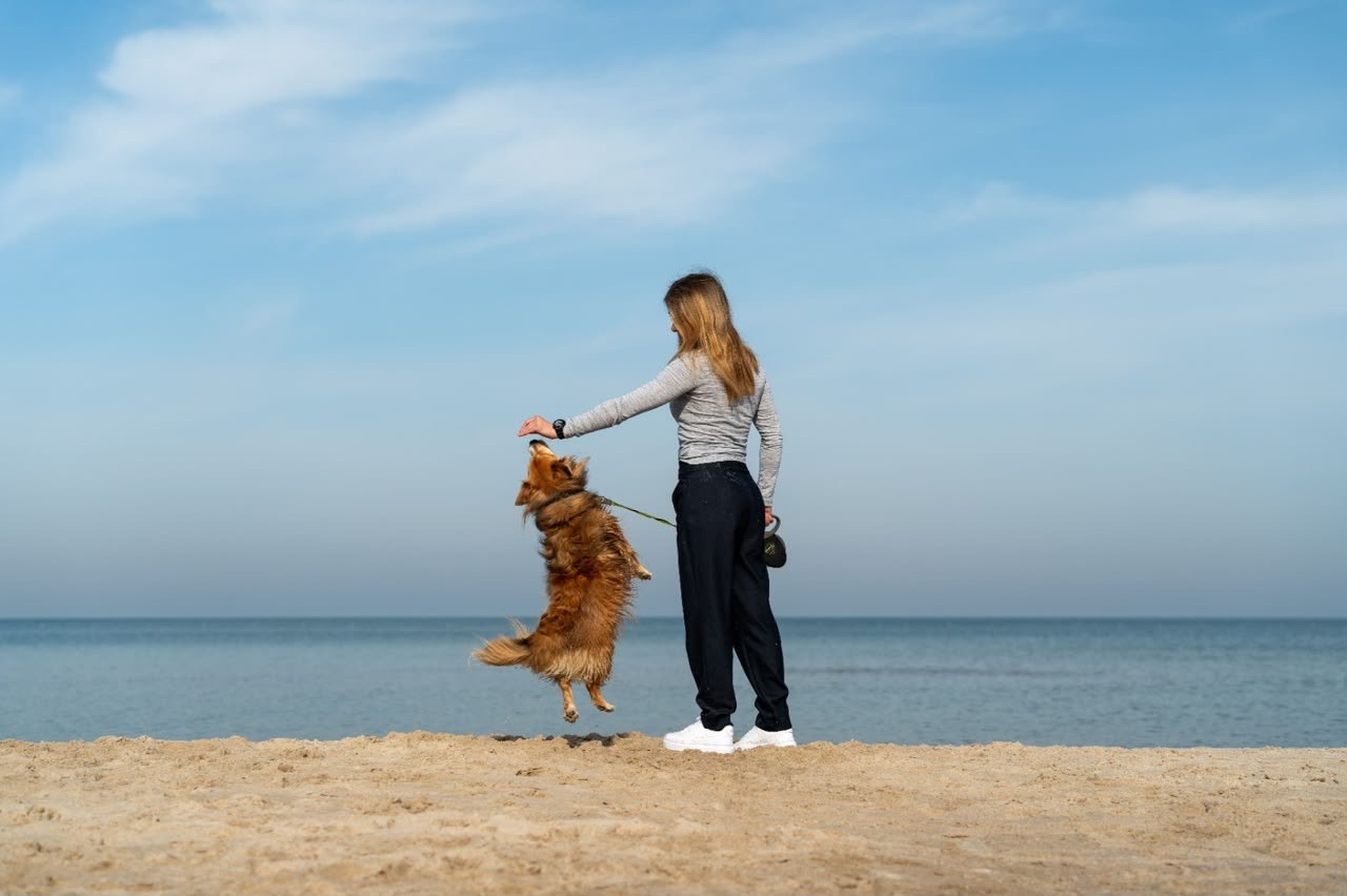 Woman playing with her dog on the beach